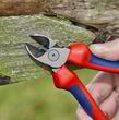 Кусачки боковые Knipex 70 02 160. Фото-5