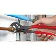 Високотехнологічні сантехнічні кліщі Knipex Cobra® хромовані 300 mm Knipex 87 05 300. Фото-6